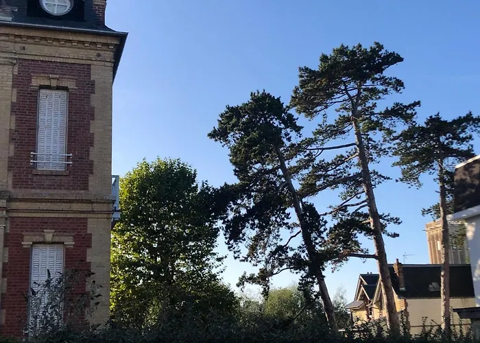 Les Pins Penchés